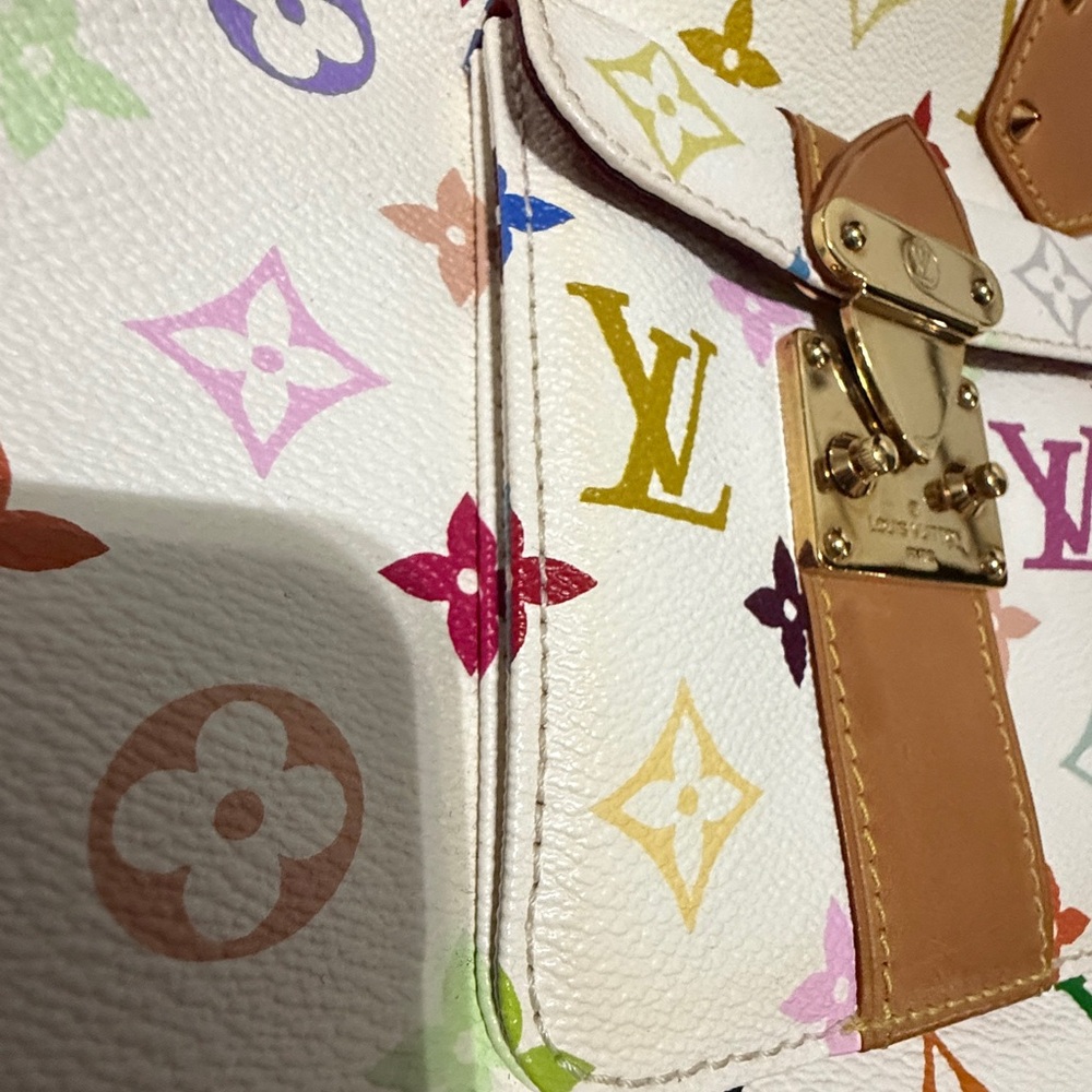 Louis Vuitton Multicolor Speedy 30 - Picture 16 of 17